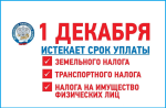 Налог до 1 декабря
