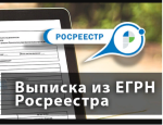 Проверка выписки из ЕГРН