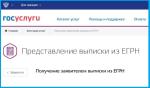 Выписка из ЕГРН