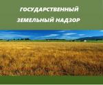Надзор