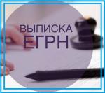Выписка из ЕГРН - Роскадастр