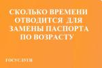 О паспорте